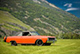 AmericanMuscle AmericanMuscle