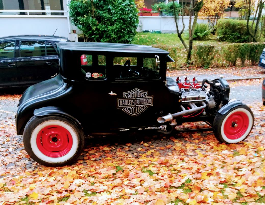 Ford Kennzeichen