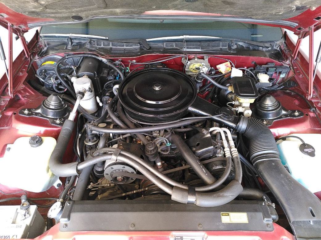 Pontiac Firebird Trans Am V8 Motor Vergaser Motorraum Zündung