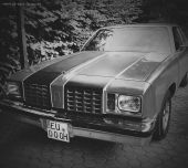 1980 Oldsmobile Cutlass