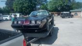 1979 Pontiac Trans Am