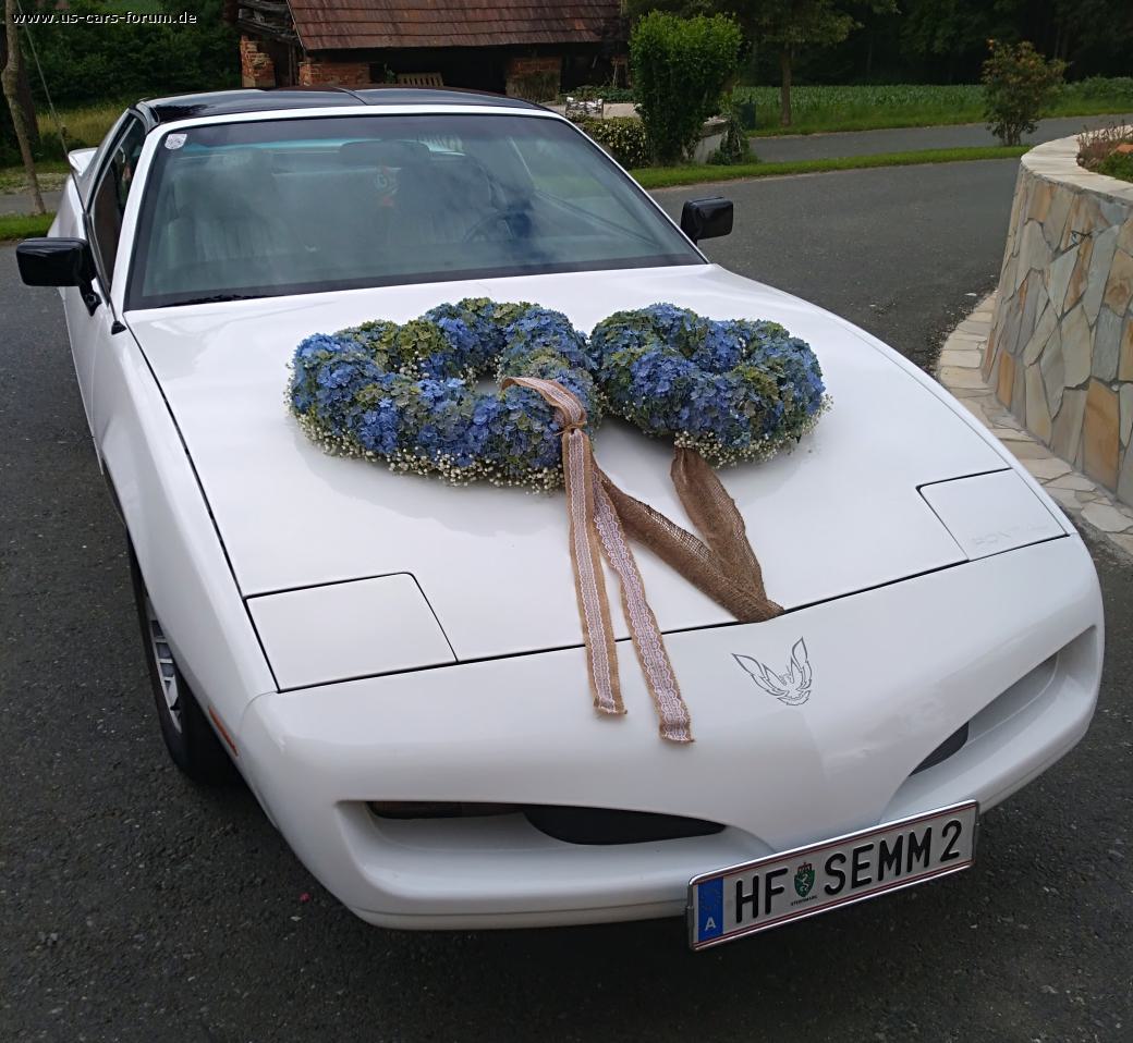 Pontiac Firebird 3.1 V6