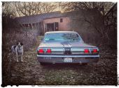 Plymouth Fury III Plymouth Fury III
